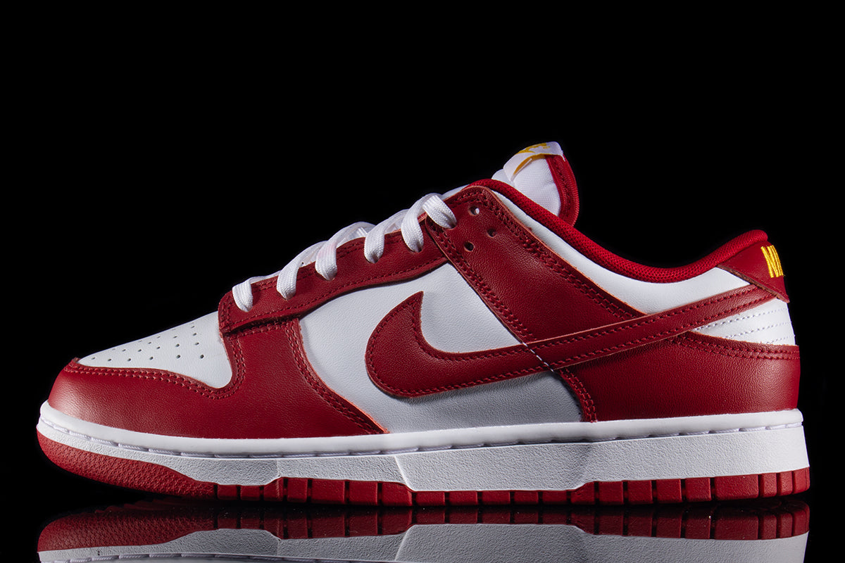 Dunk Low Retro – Premier - Main Image
