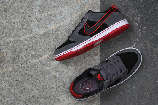 NIKE SB DUNK LOW PRO IW