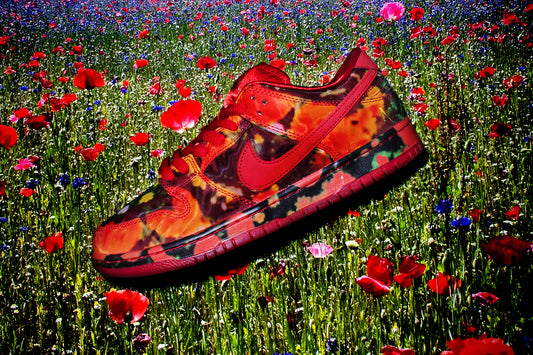 NIKE SB X THE WIZARD OF OZ