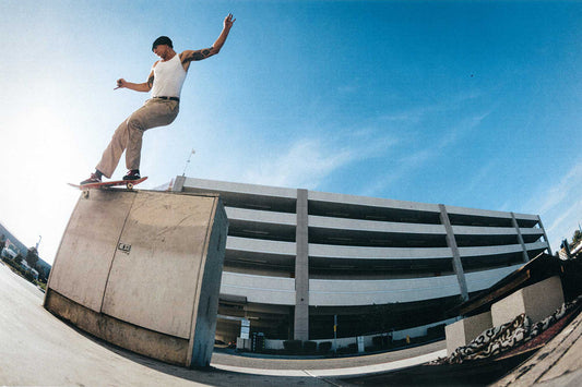 VANS BERLE PRO