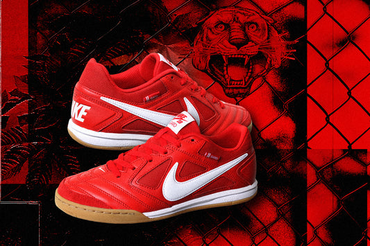 NIKE SB ARRIVALS