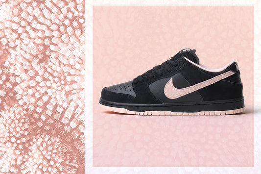 NIKE SB DUNK LOW