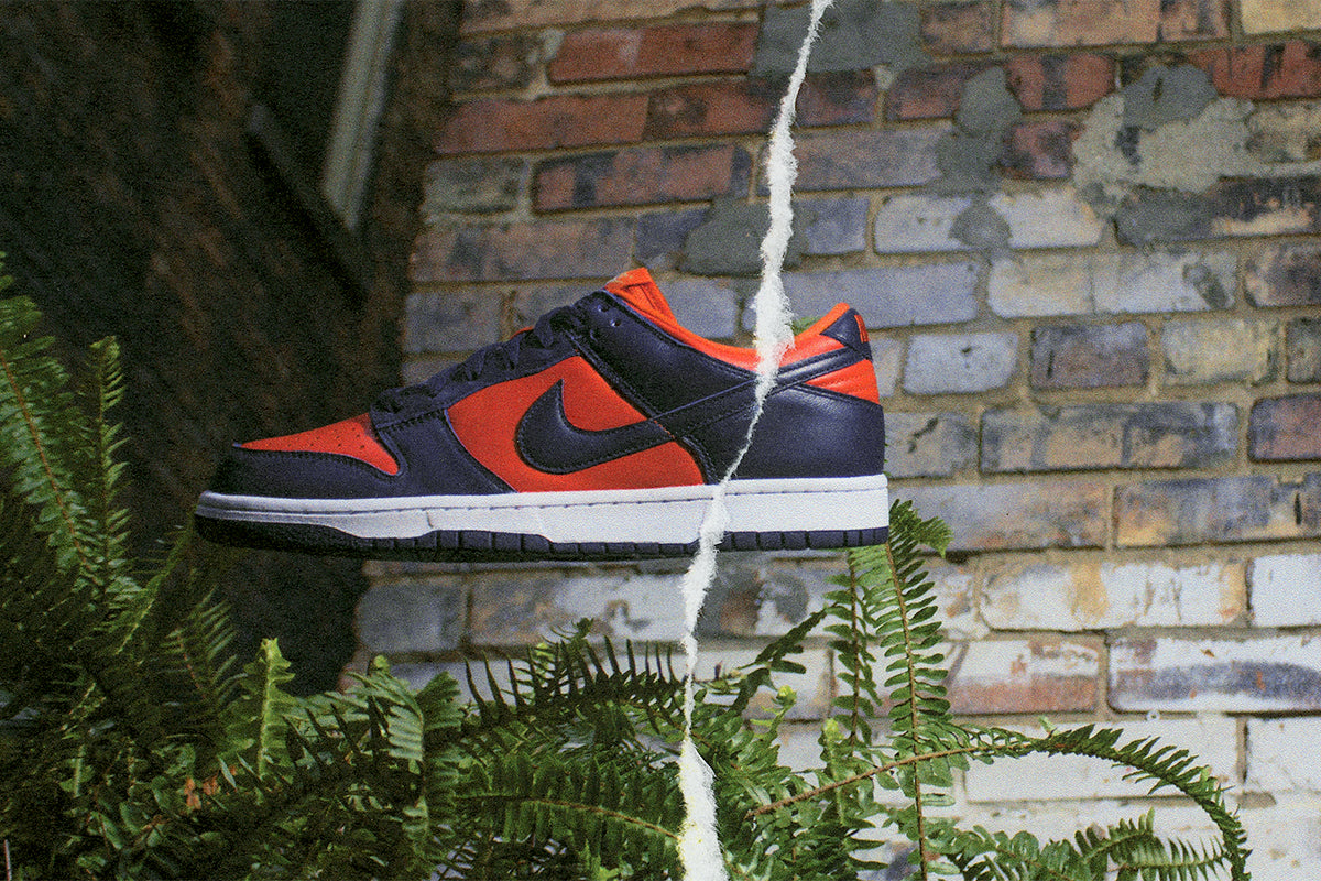 finishline nike dunk low