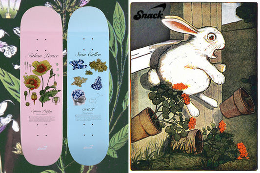 SNACK SKATEBOARDS