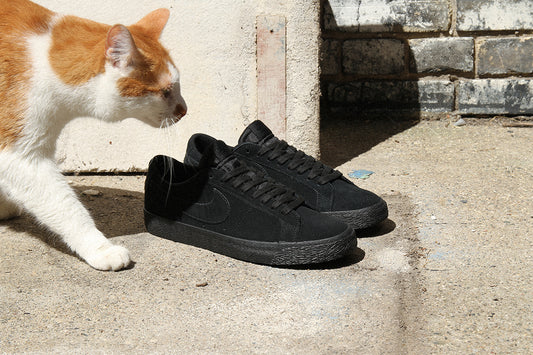 NIKE SB
