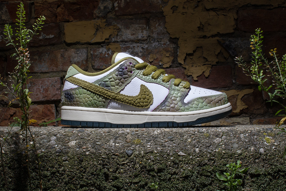 NIKE SB DUNK LOW PRO カメレオン NIKE SB DUNK LOW - CHAMELEON – Premier