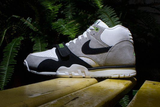 NIKE SB AIR TRAINER 1