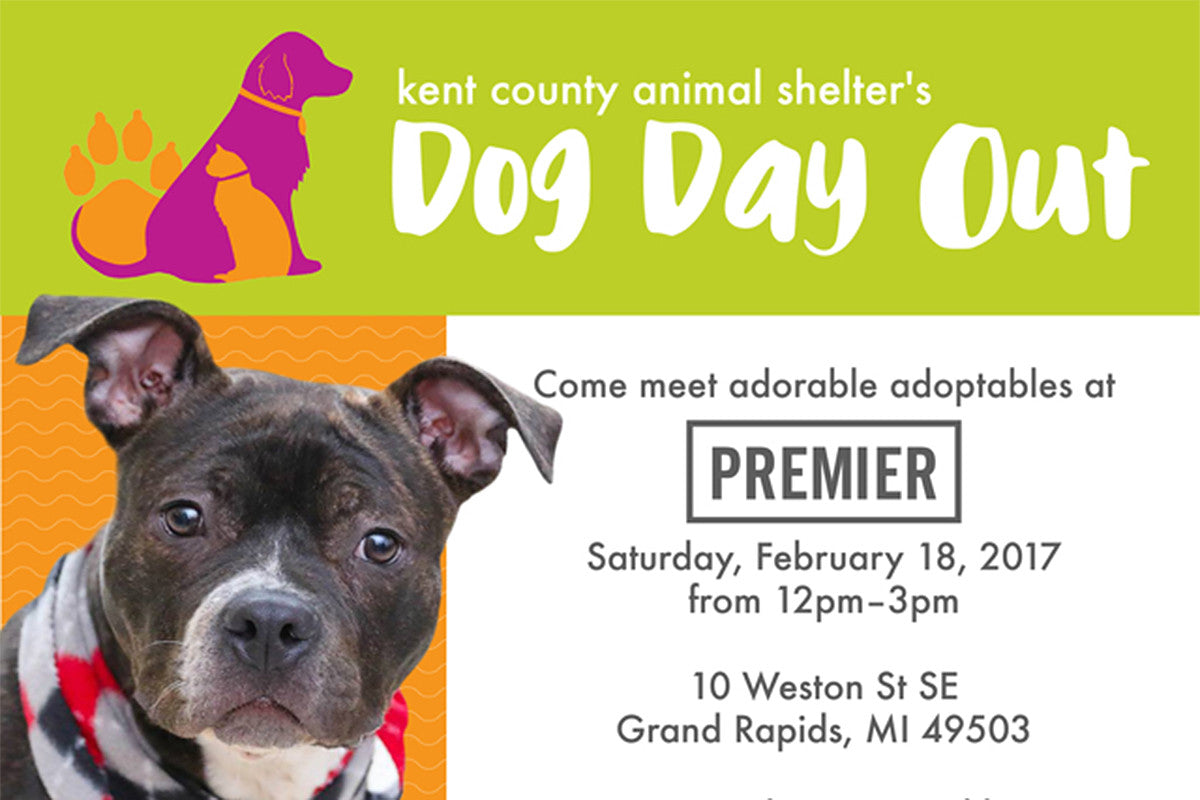 DOG DAY OUT – Premier