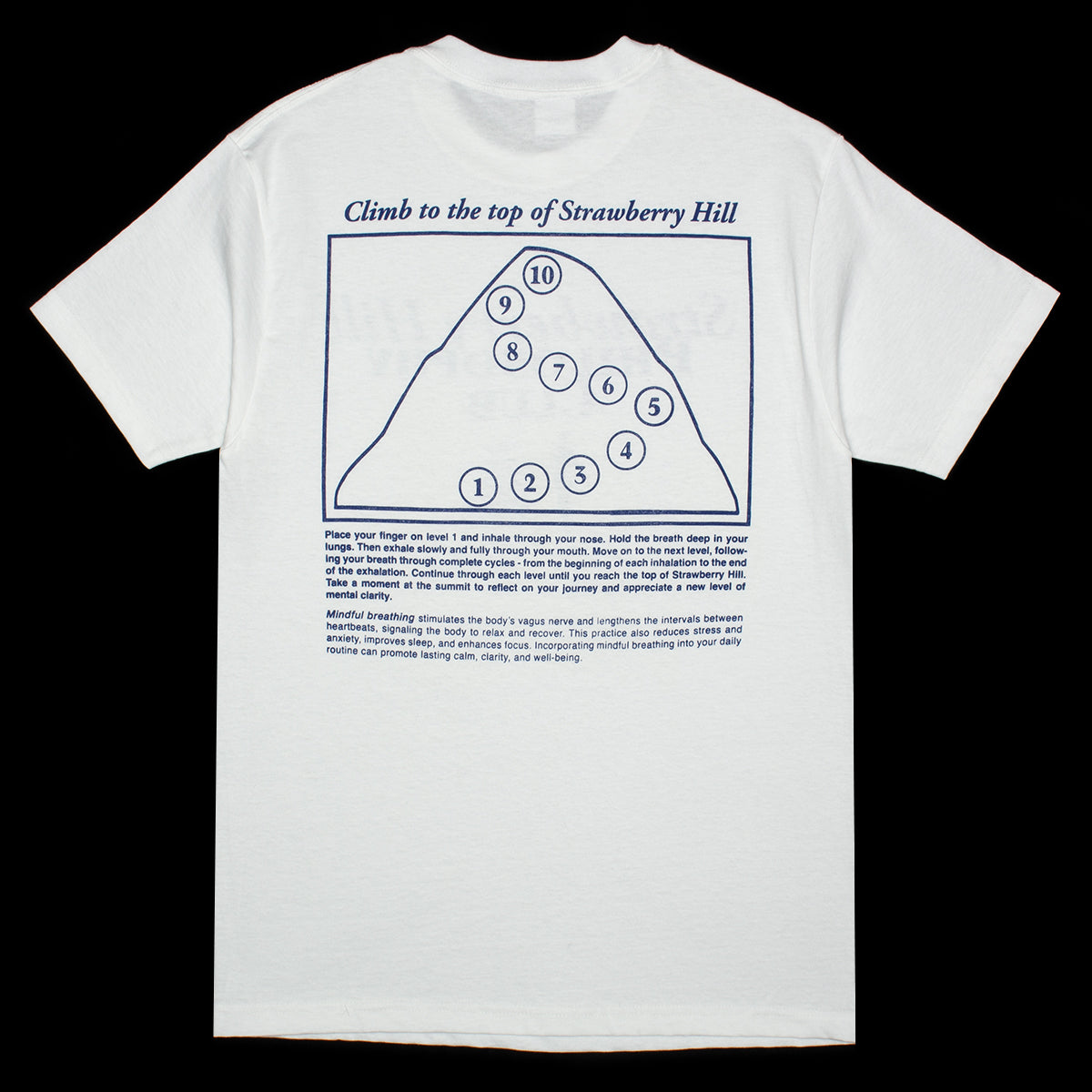 Strawberry Hill Philosophy Club - Breathwork T-Shirt
Color : White