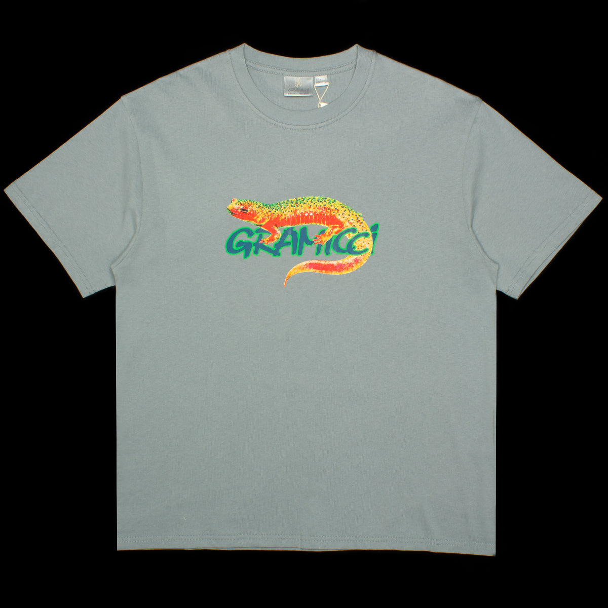 Gramicci | Salamander T-Shirt Style # G3FU-T069 Color : Slate