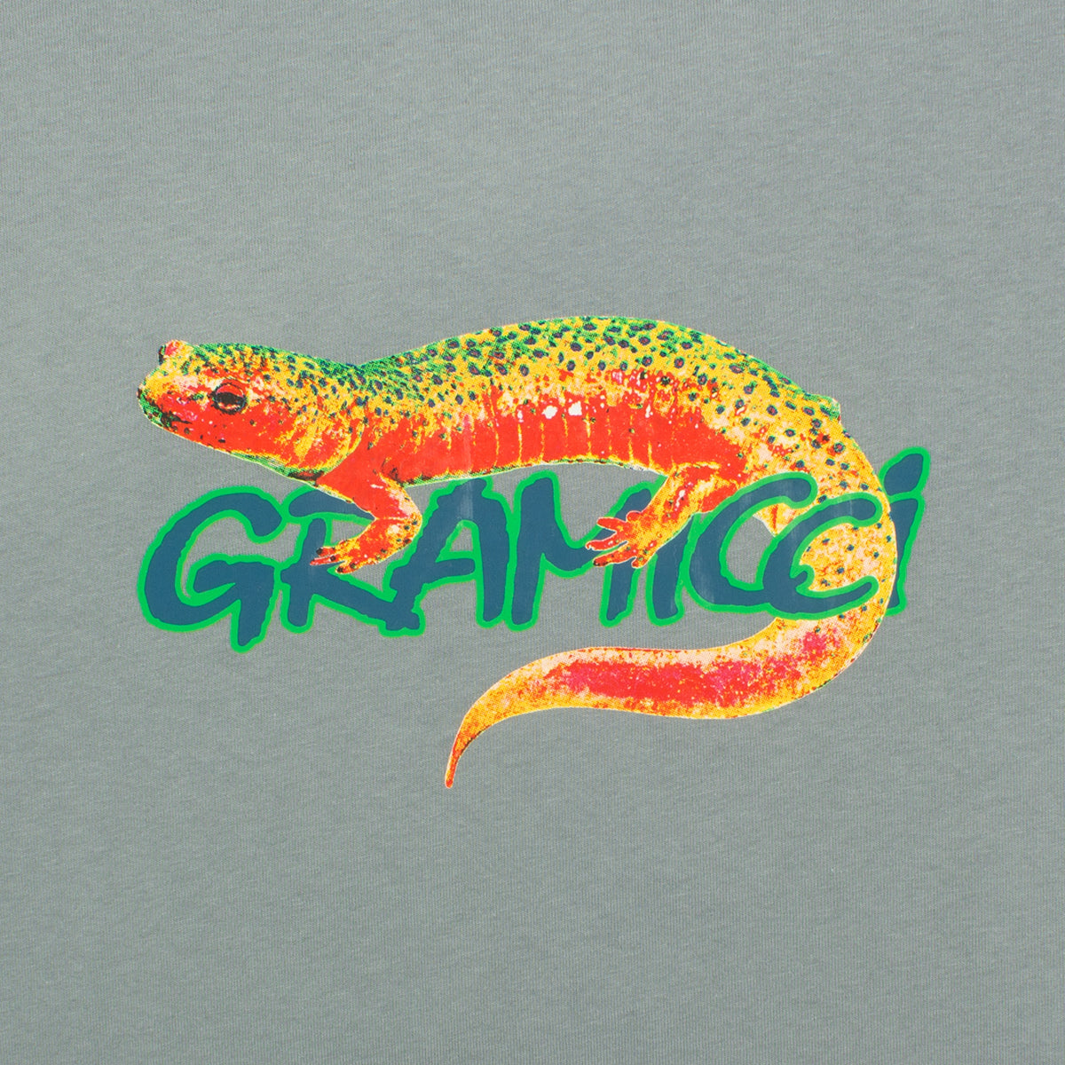 Gramicci | Salamander T-Shirt Style # G3FU-T069 Color : Slate