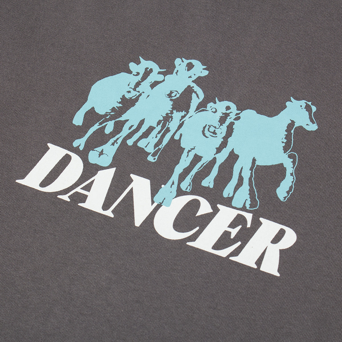 Dancer - Step Aside L/S T-Shirt
Color : Charcoal