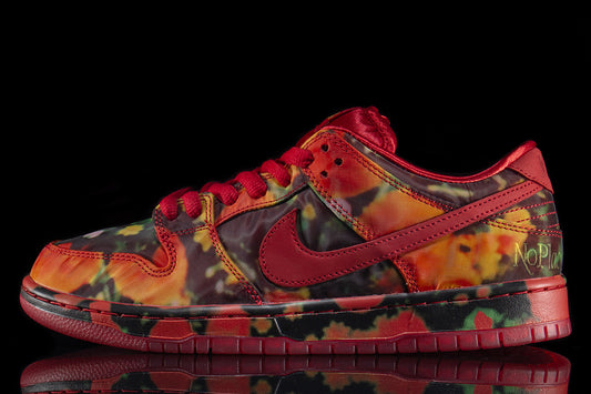 Dunk Low Pro x The Wizard Of Oz