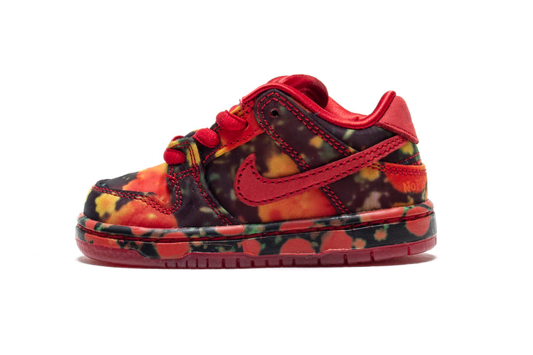 Dunk Low Pro x The Wizard Of Oz (TD)