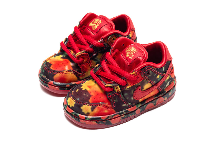 Dunk Low Pro x The Wizard Of Oz (TD)