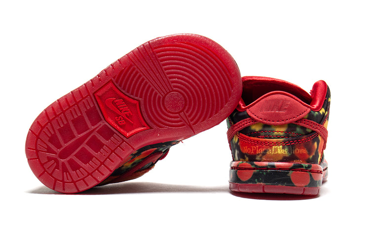 Dunk Low Pro x The Wizard Of Oz (TD)