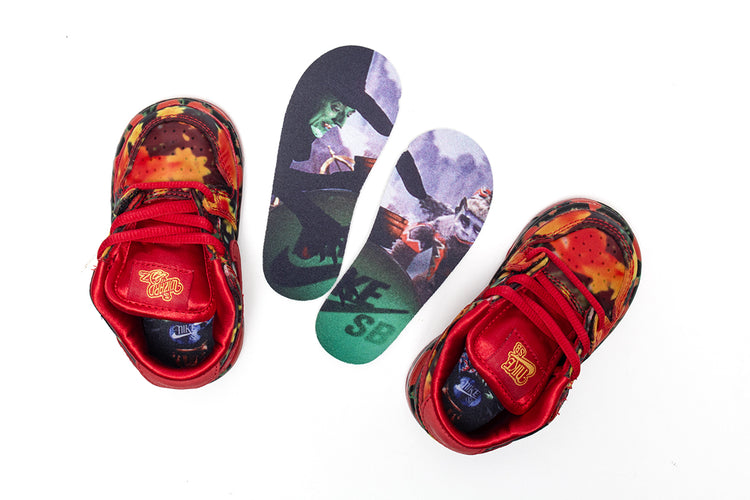 Dunk Low Pro x The Wizard Of Oz (TD)