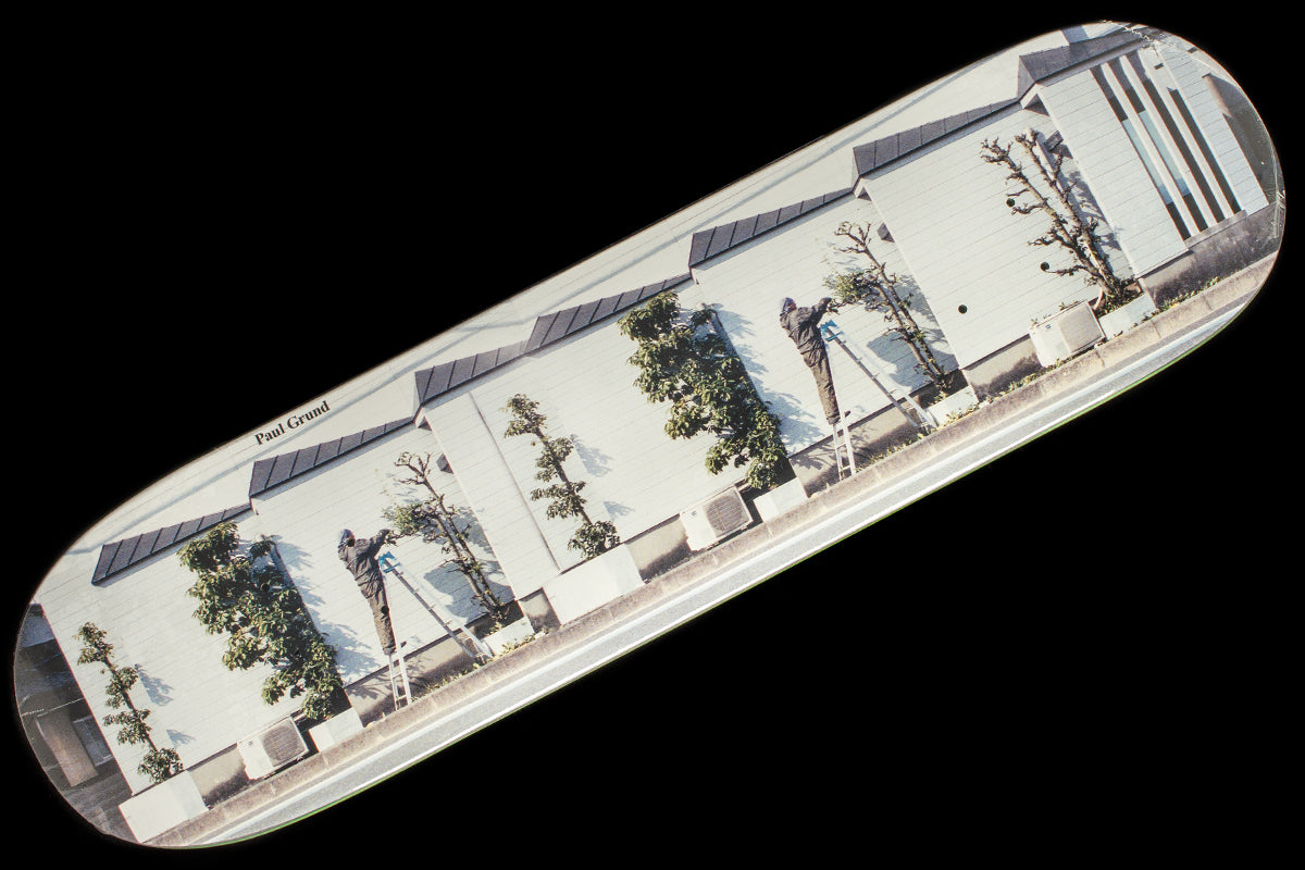 Polar Skate Co. - Gardner Deck