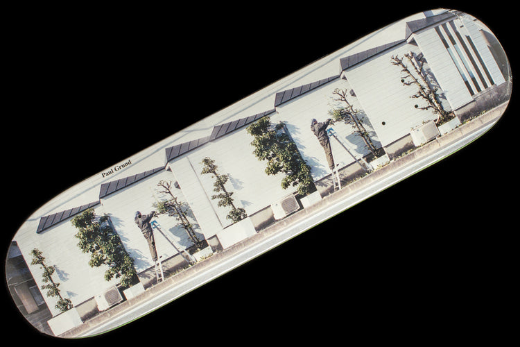 Polar Skate Co. - Gardner Deck