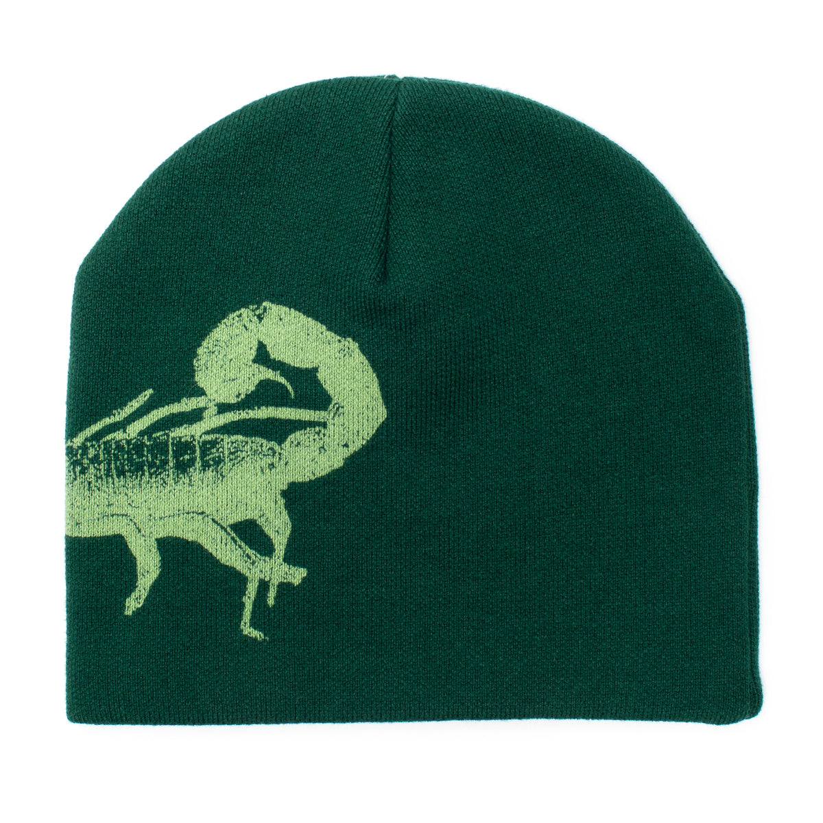 Butter Goods | Scorpion Beanie
Color : Forest