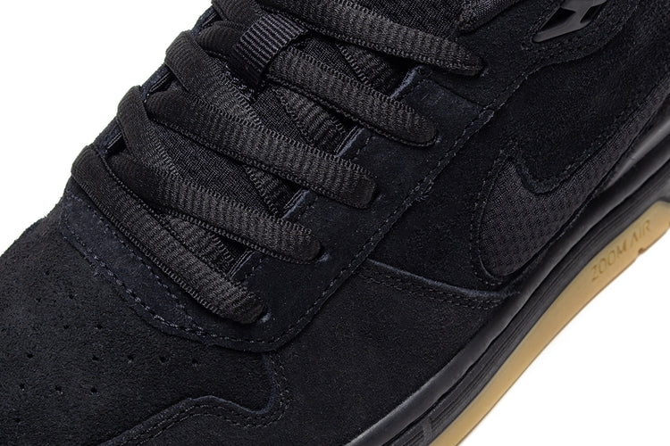 Paul Rodriguez Zoom Air Low