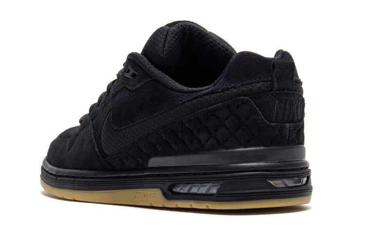 Paul Rodriguez Zoom Air Low