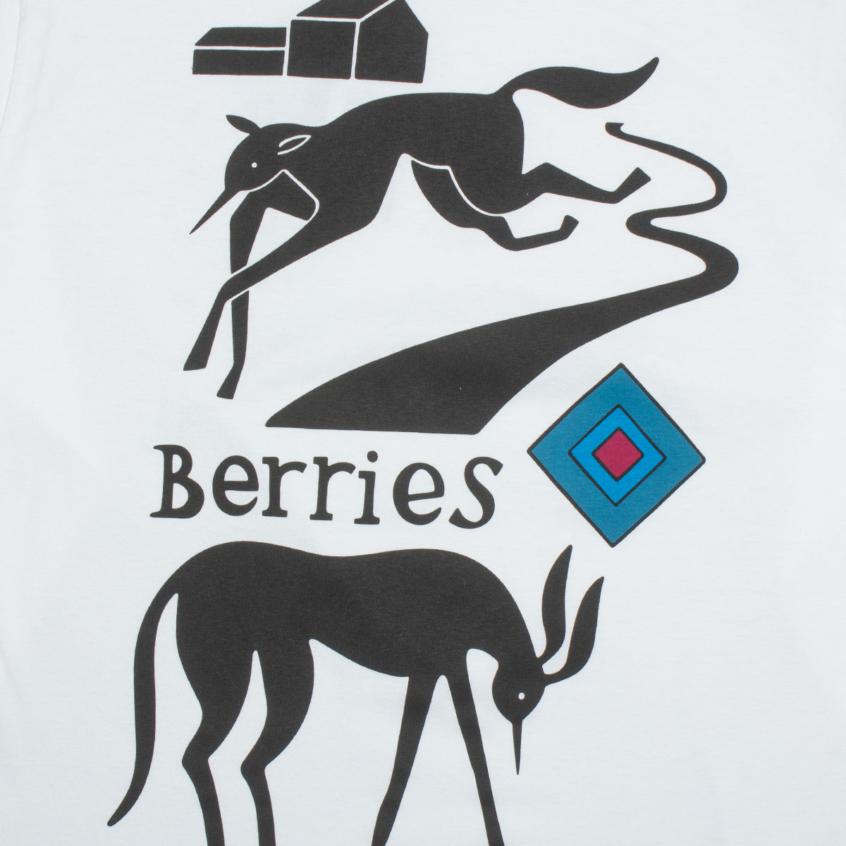 by Parra | The Berry Farm L/S T-Shirt Style # 49420 Color : White