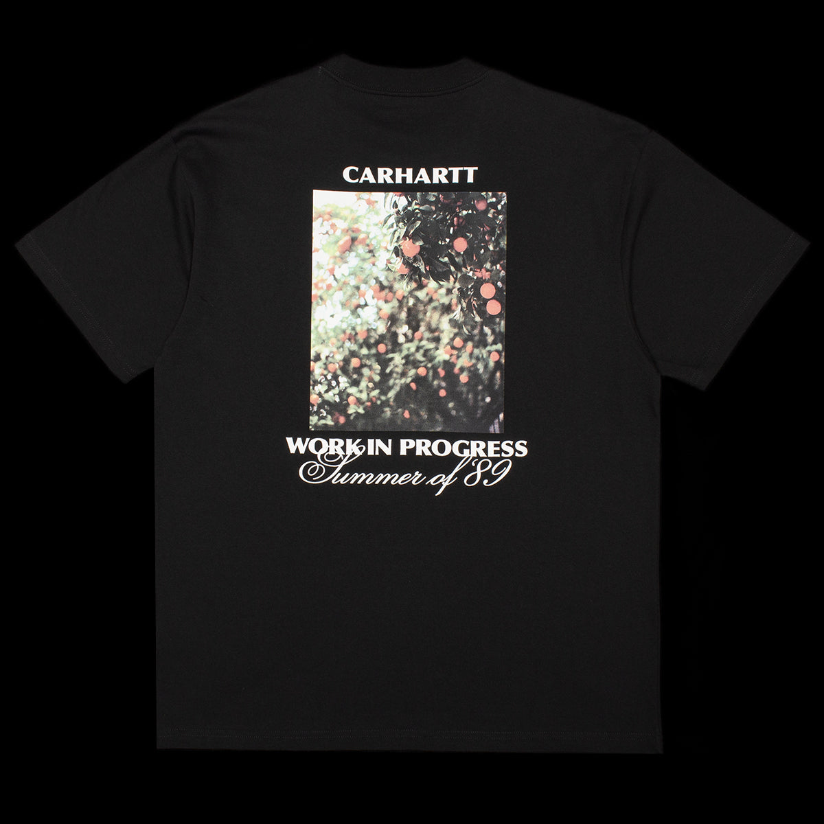 Carhartt WIP - Warm Views T-Shirt
Style # I036246-89XX
Color : Black