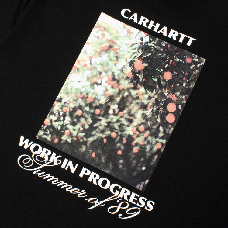 Carhartt WIP - Warm Views T-Shirt
Style # I036246-89XX
Color : Black