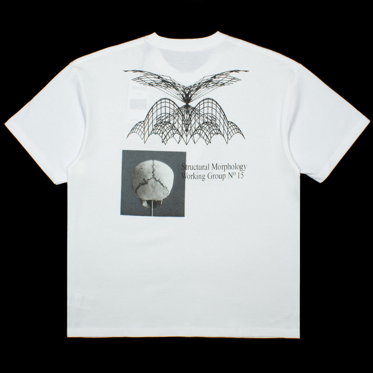 Polar | Morphology T-Shirt Color : White