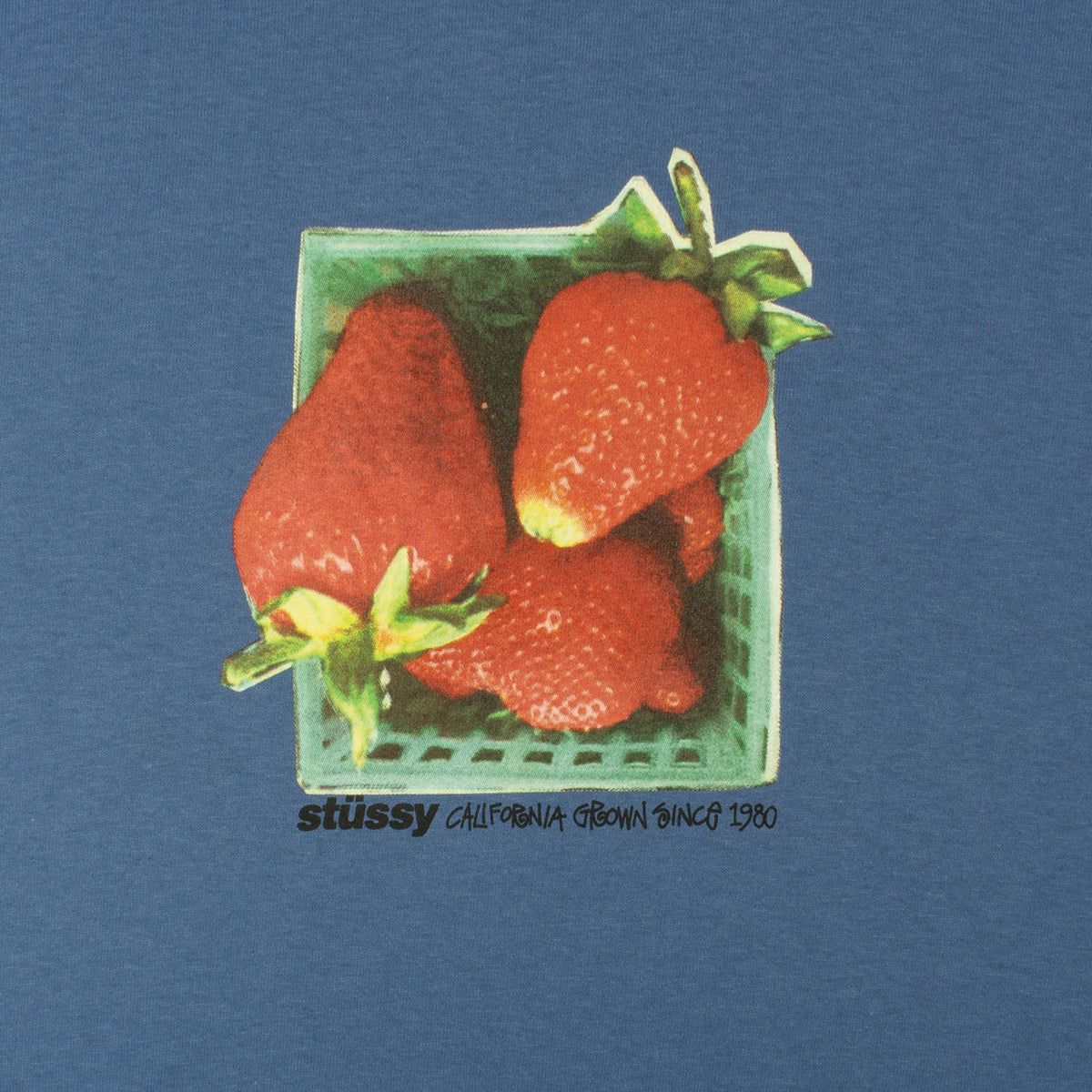 Stussy - Berries T-Shirt
Style # 1905108

Color : Blue