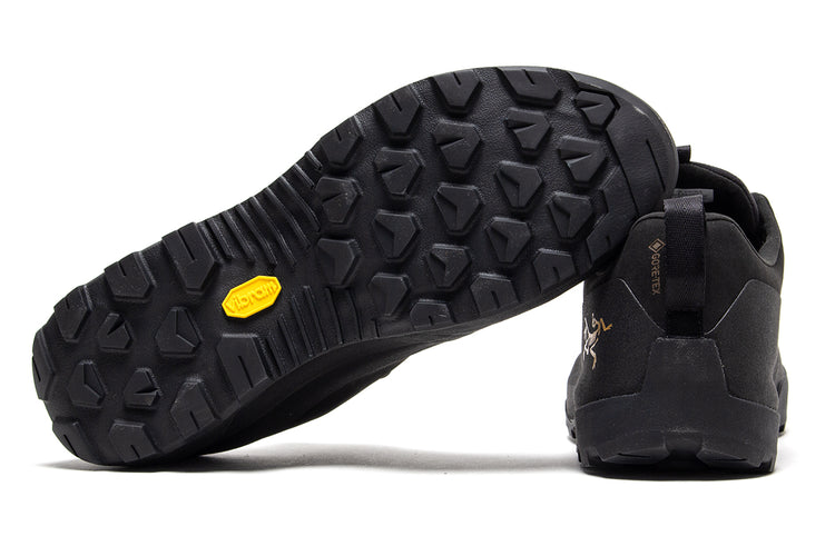 Arc'teryx - Konseal GTX
Color : Black / Black