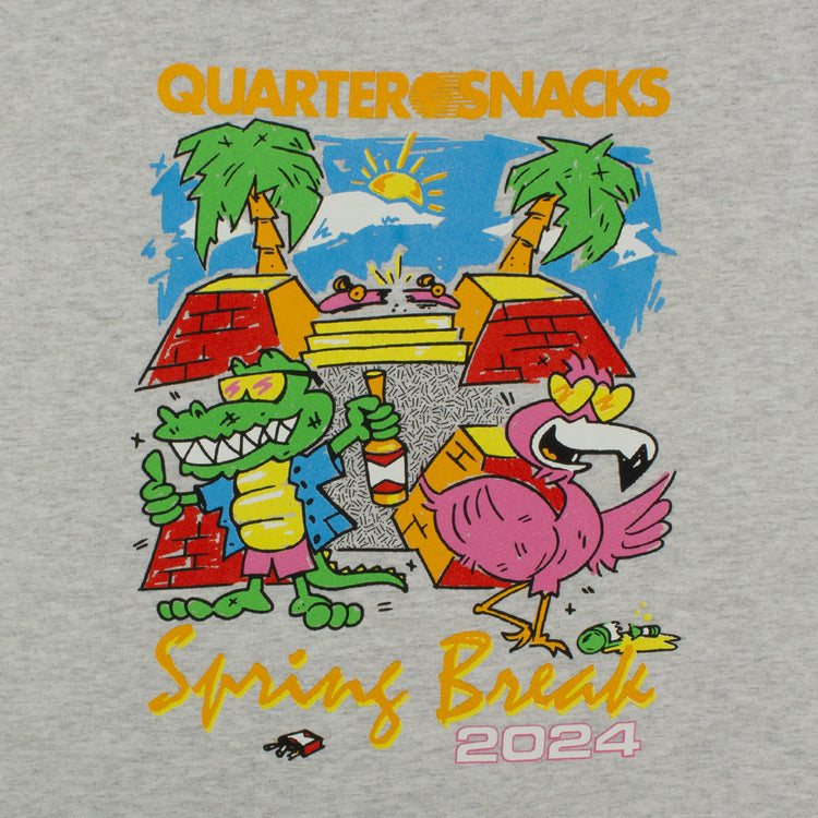 Quartersnacks | Spring Break T-Shirt Color : Ash Grey