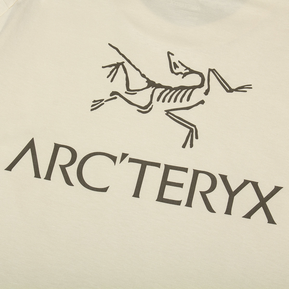 Arc'teryx - Kragg SL Bird Word T-Shirt
Style # X000009535
Color : Sea Salt / Mongoose