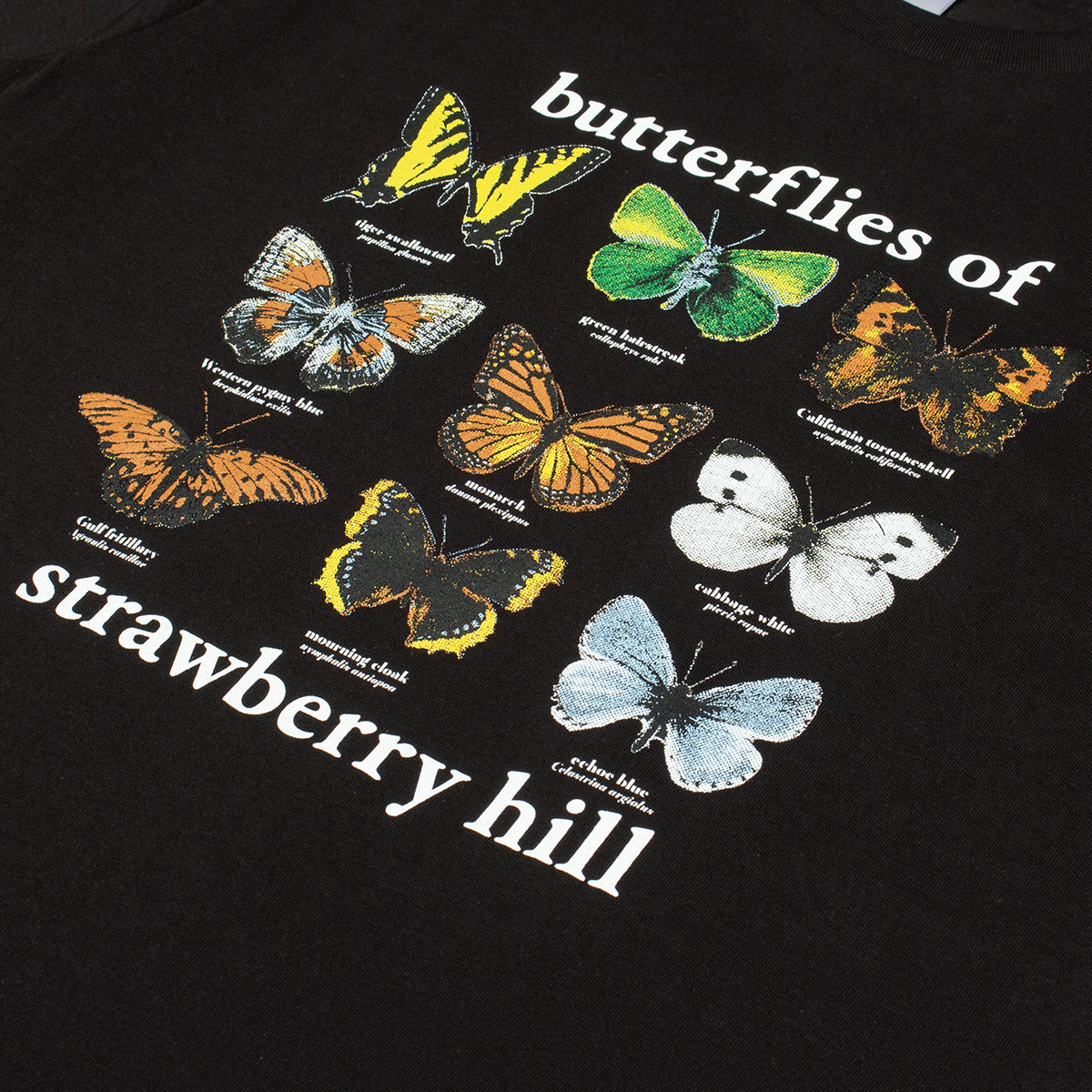 Strawberry Hill Philosophy Club - Butterflies Of Strawberry Hill T-Shirt
Color : Black