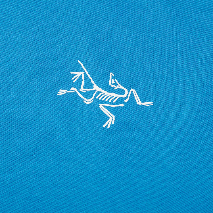 Arc'teryx - Kragg L/S T-Shirt
Style # X000009714
Color : Aquaculture