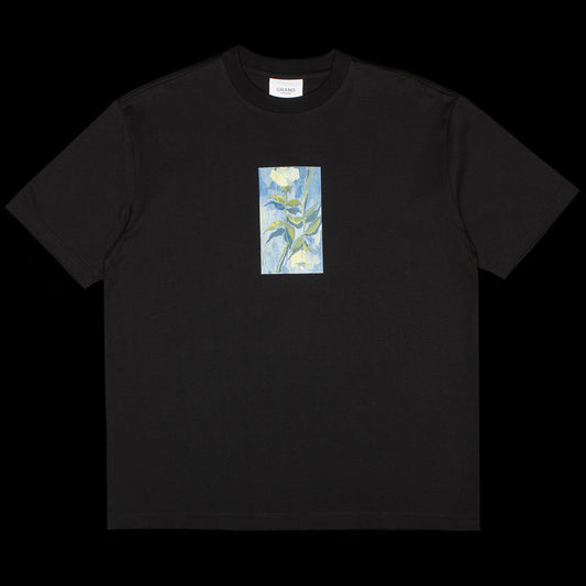 Grand Collection - White Roses T-Shirt

Color : Black