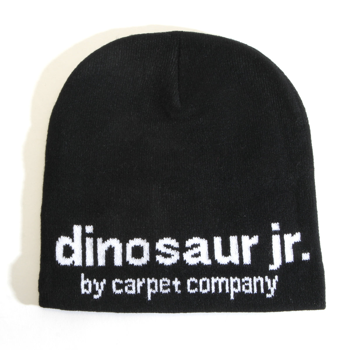 Carpet Company - Dinosaur Jr. Beanie
Color : Black