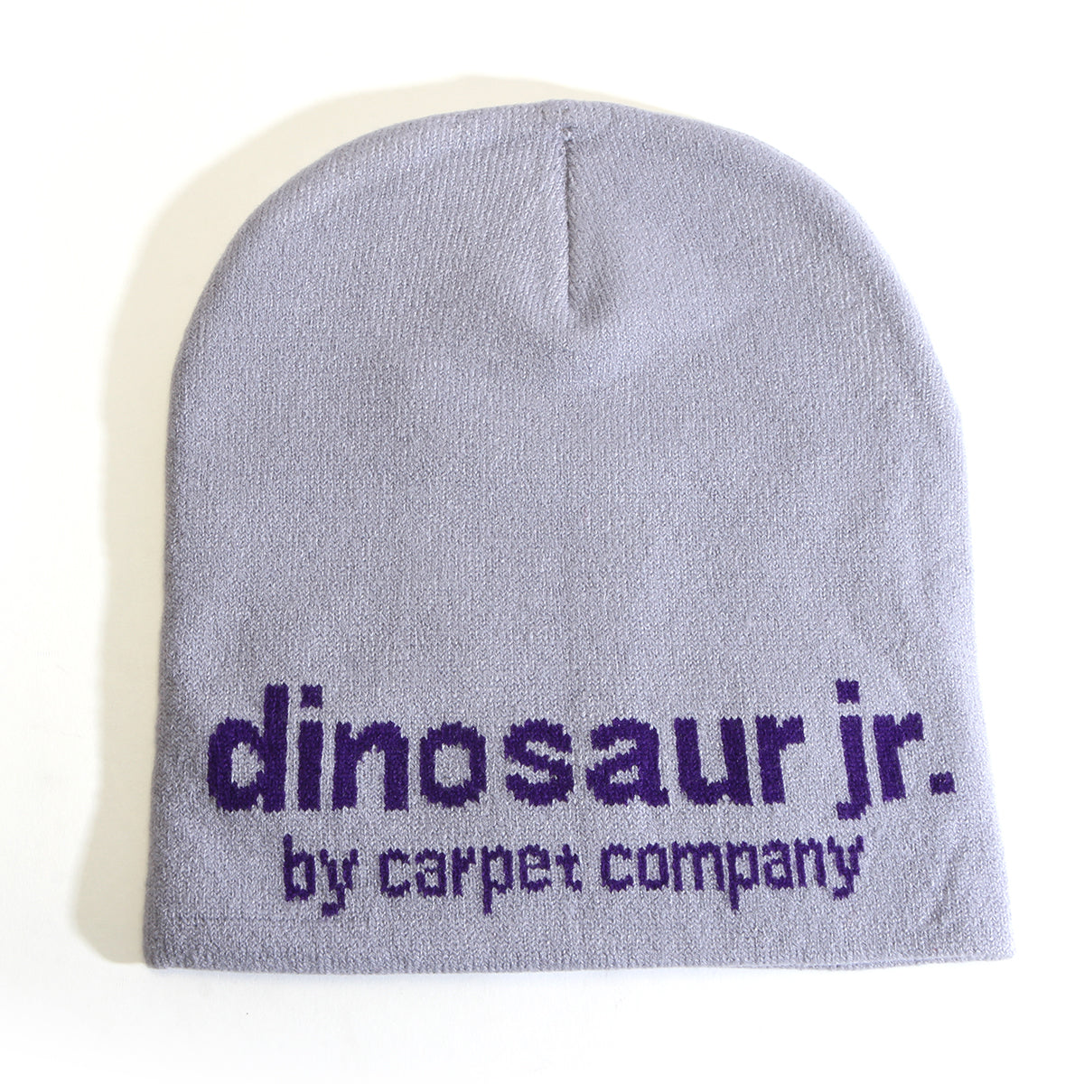 Carpet Company - Dinosaur Jr. Beanie
Color : Silver