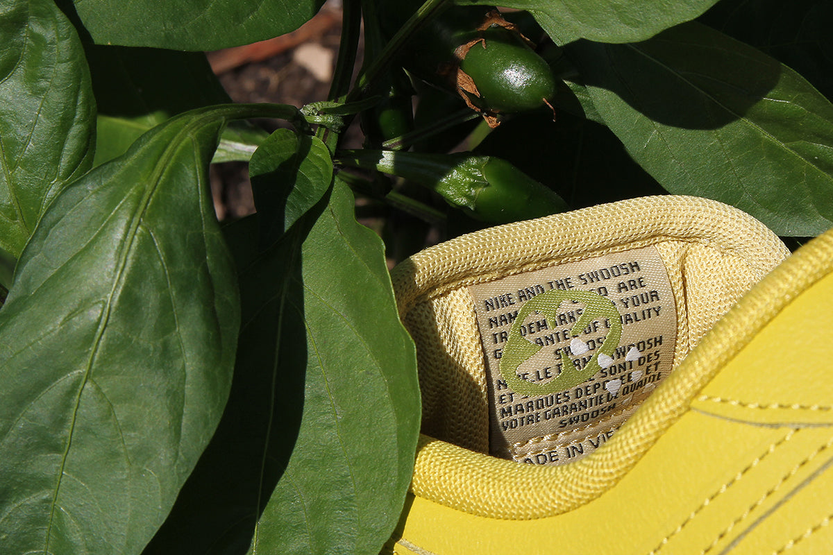 Nike SB - Dunk Low Pro
Style # IO0427-300
Color : Saffron Quartz / Pear