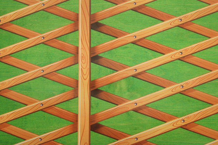 Palace - S40 - Lucien Pro Deck