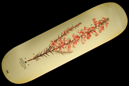 Passport - Pink Health Reissue Deck
Widths : 8.25"  / 8.5"