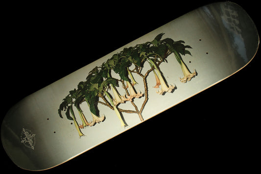 Passport - D.G Series Deck
Widths : 8.125" & 8.5"