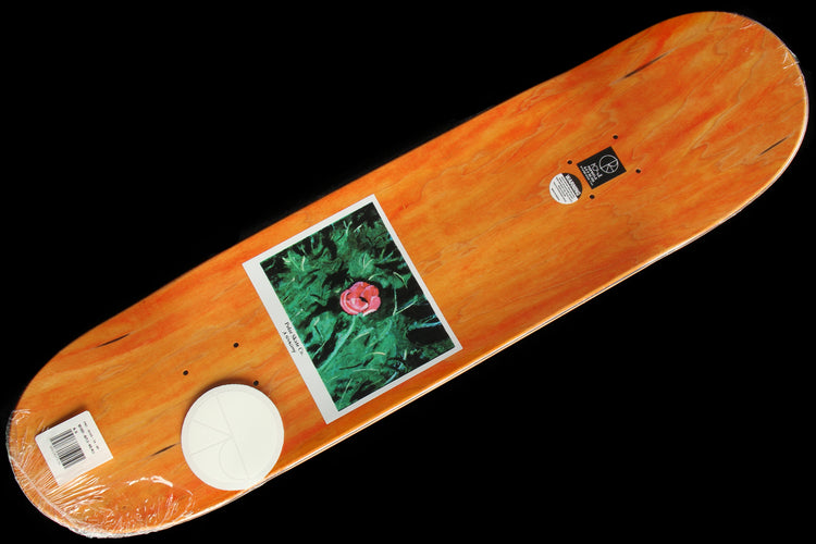 Polar Boserio - Amaryllis Deck 8.5" (Wheel Wells)