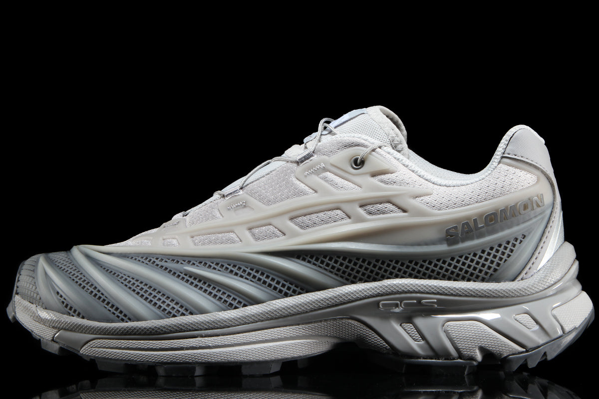 Salomon - XT-EVO
Style # L45419100
Color : Alloy / Castlerock / Ftw Silver