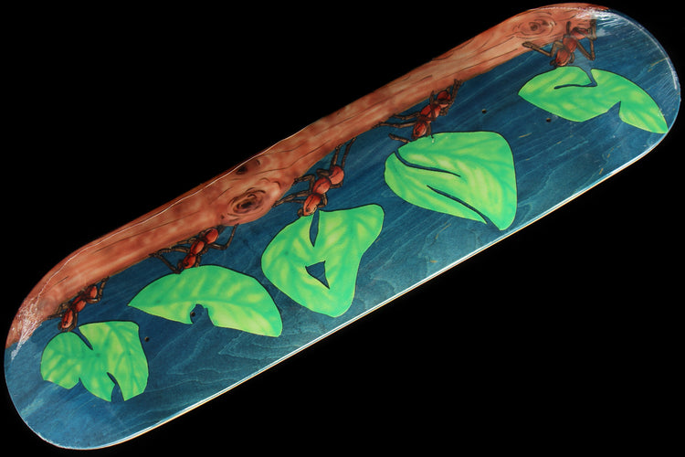 Snack - Leafcutter Deck
Color : Blue