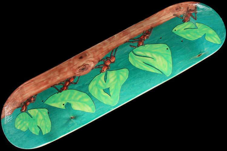 Snack - Leafcutter Deck
Color : Teal