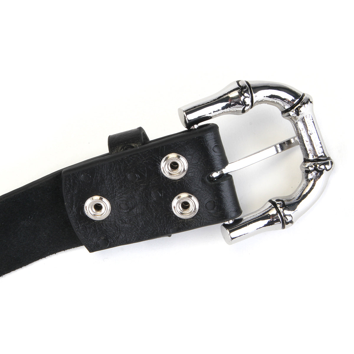 Stingwater - Bones Belt
Color : Black