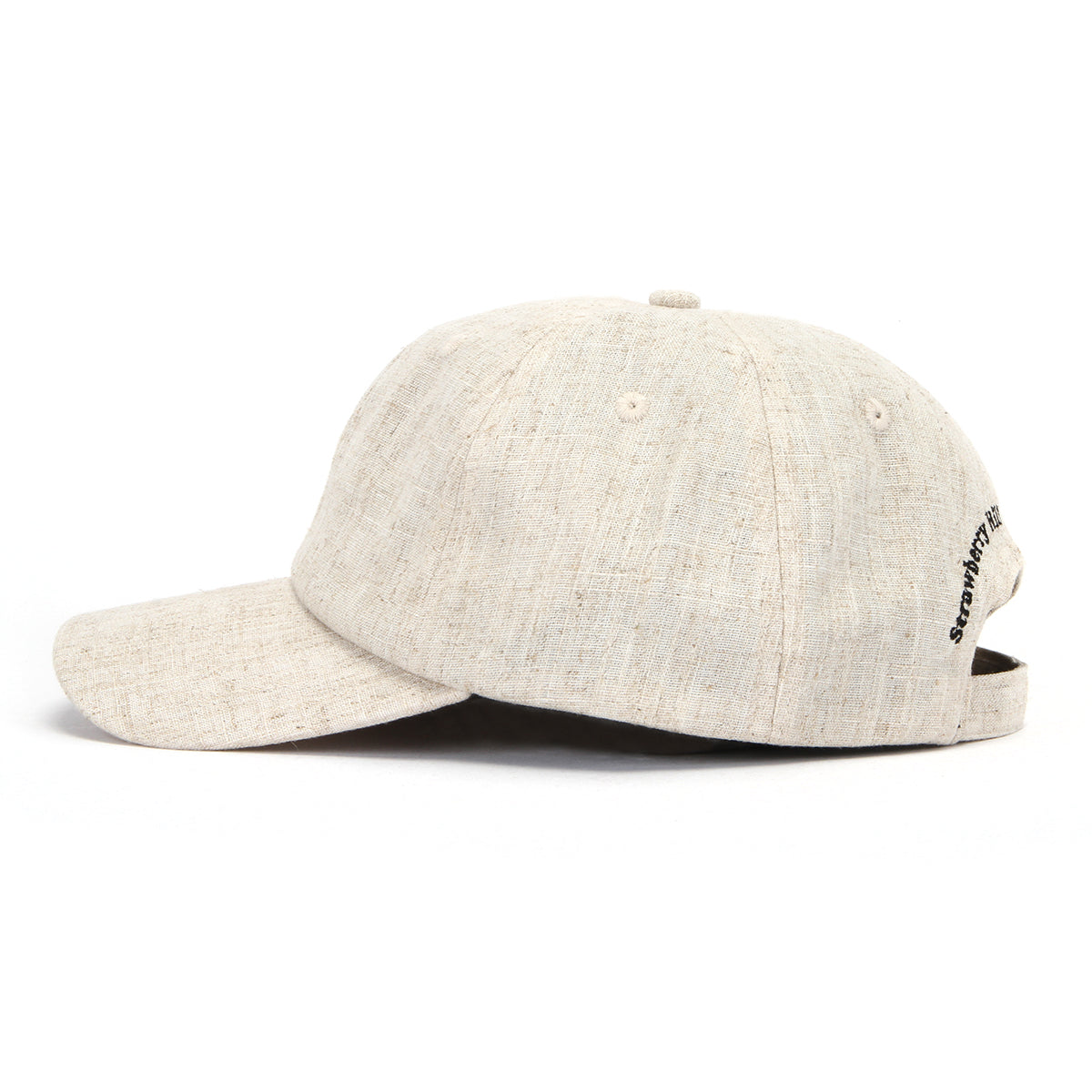 Strawberry Hill Philosophy Club | Logo Cap Hemp