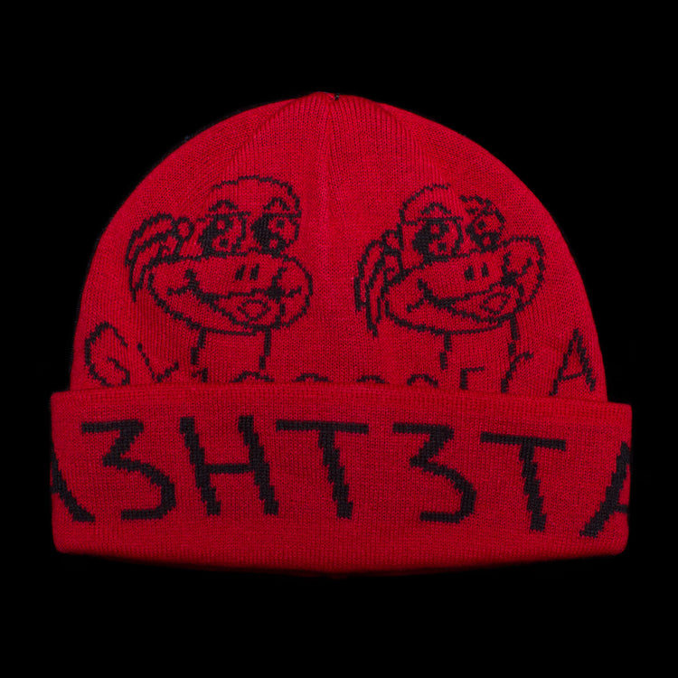 61)A3HT3TA3W Beanie